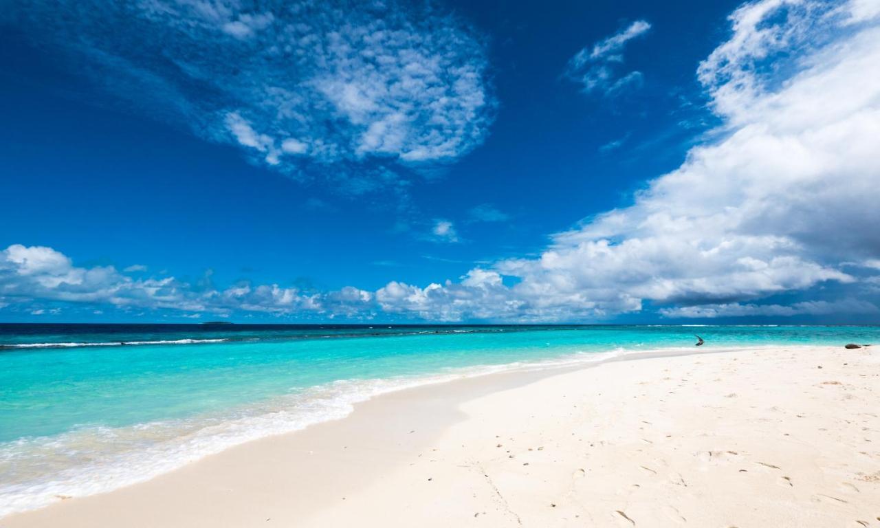 Blue World Dharavandhoo Exterior foto